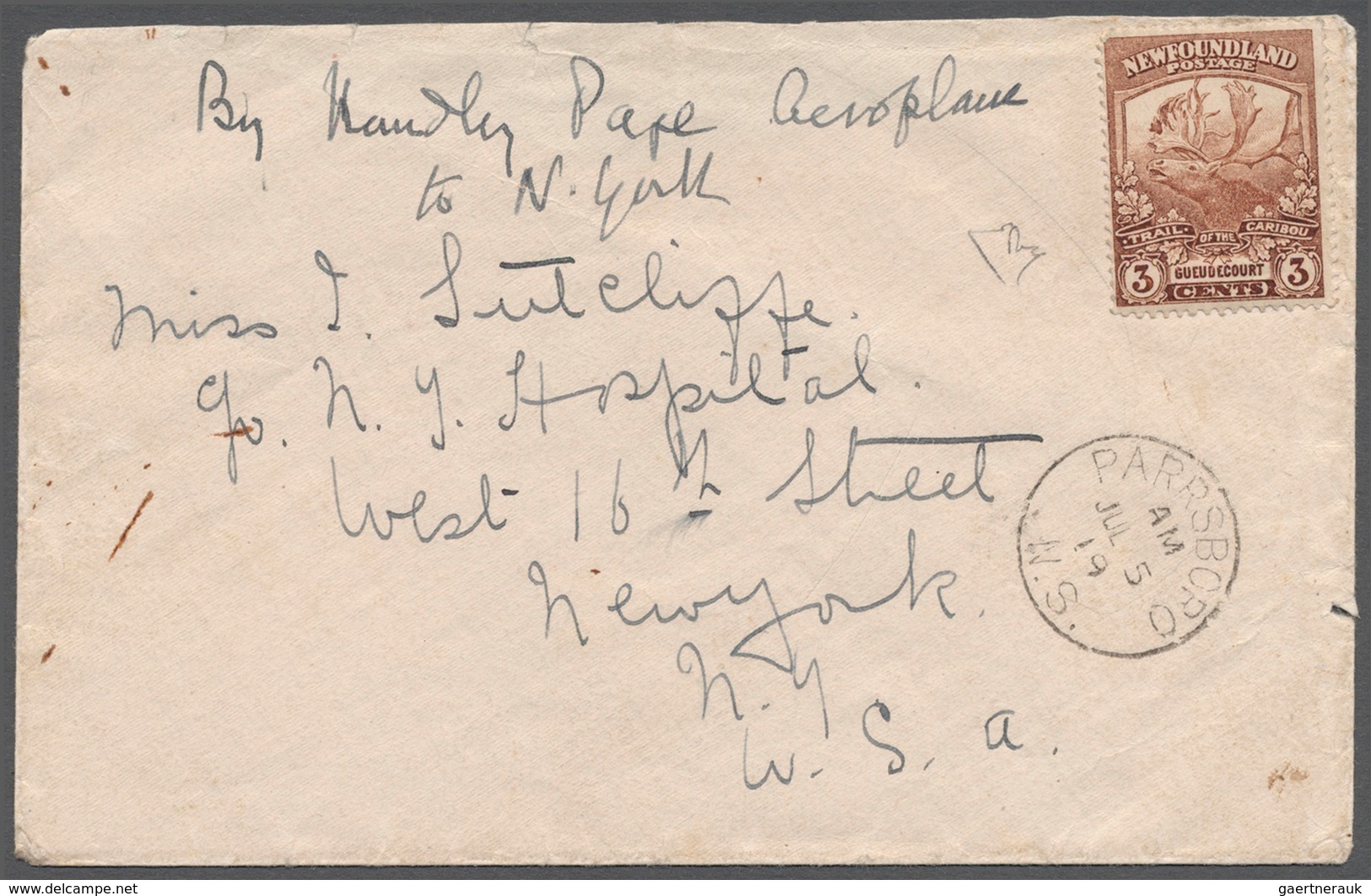 Neufundland: SUPPLEMENTARY MAIL „HANDLEY PAGE”: 1919, Unoverprinted Caribou 3 C. Brown Without Cance - 1857-1861