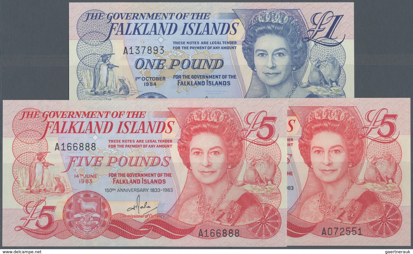 Falkland Islands / Falkland Inseln: Set 3 Notes Containing 2x 1 Pound 1983 P. 12 (UNC) And 1 Pound 1 - Falkland Islands