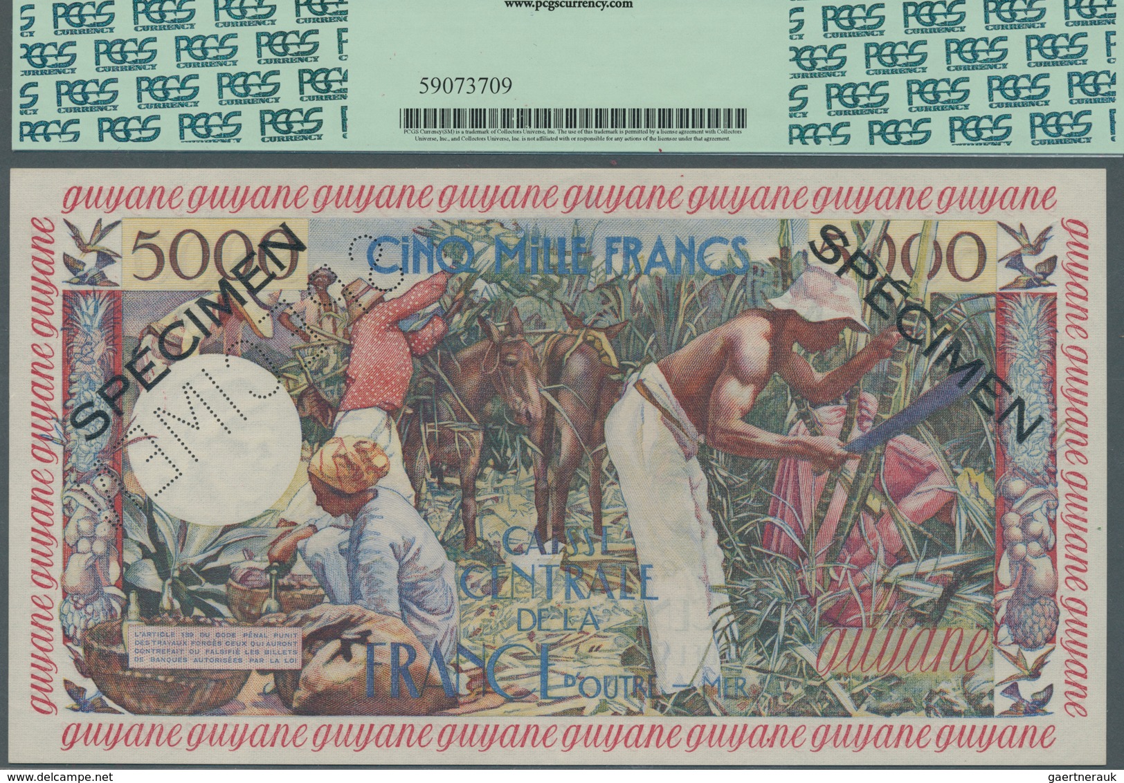 French Guiana / Französisch-Guayana: Caisse Centrale De La France D'Outre-Mer 5000 Francs ND(1960) S - Guyana Francesa