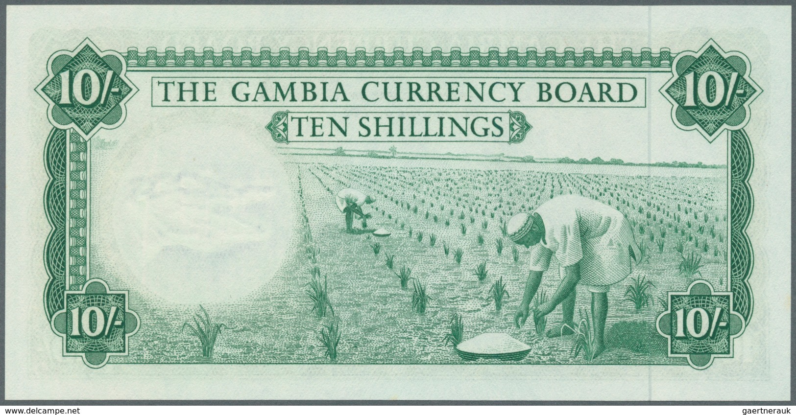 Gambia: 10 Shillings ND P. 1, The Gambia Currency Board, In Crisp Original Condition Without Any Hol - Gambia