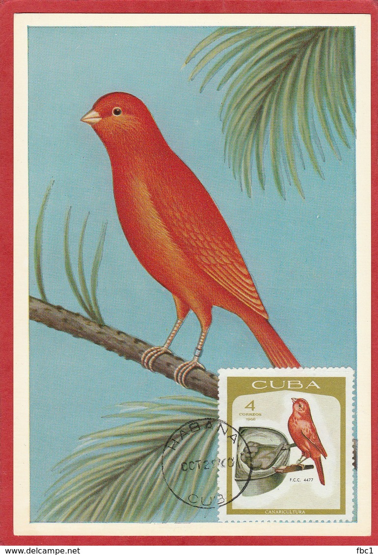 Cuba - Carte Maximum - Oiseaux  - Canarie (1968) - Cartes-maximum