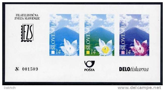 SLOVENIA 1998 Boc Mountain Semi-official Stage Proof Block MNH / ** - Slovénie