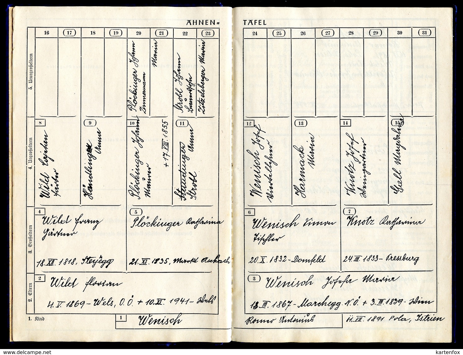 Reisepass Österreich, 2 Stück, Ehepaar, 1953, 1963, Ahnenpass und Blutblatt