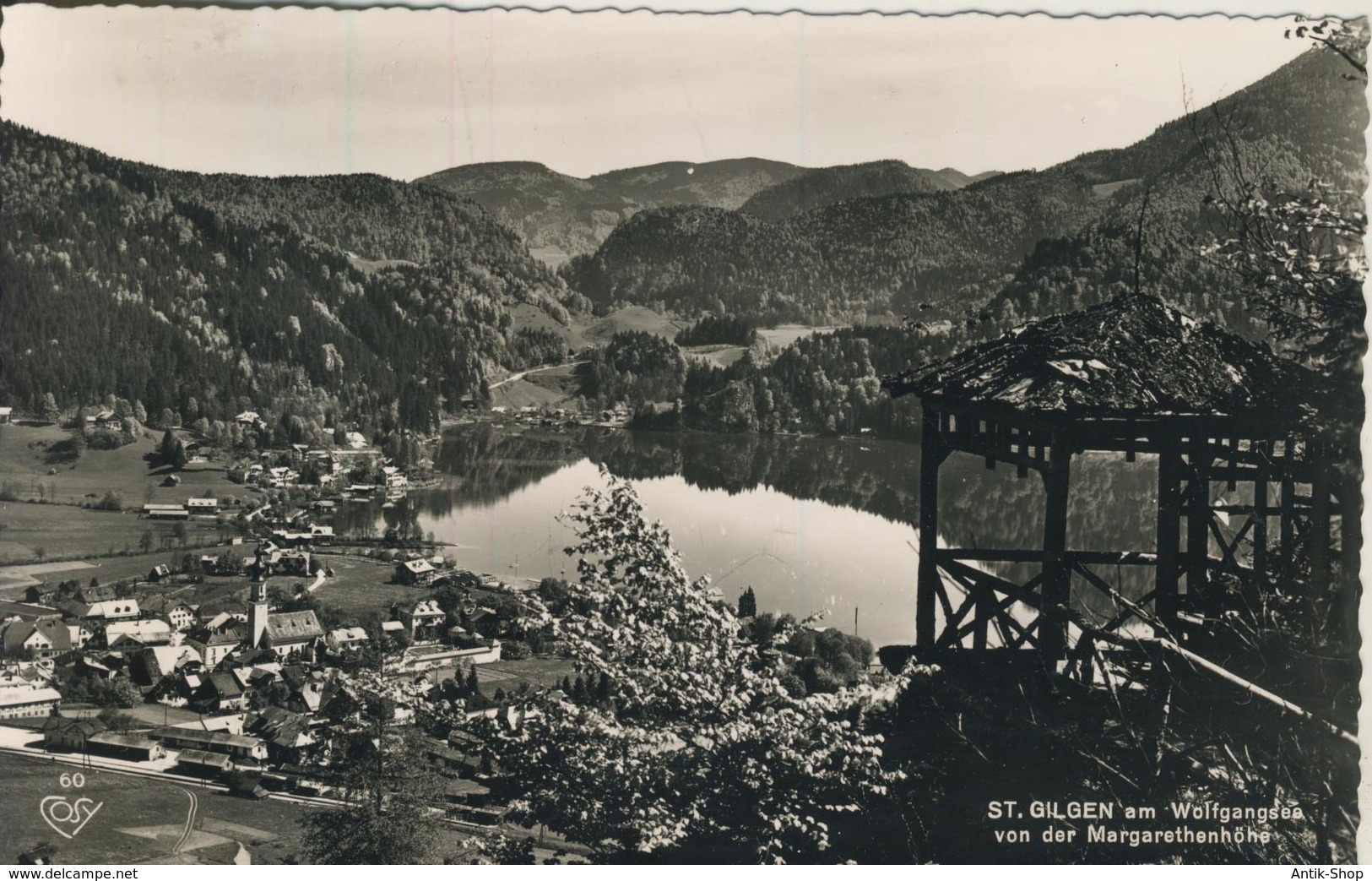 St. Gilgen V. 1965  Dorfansicht Mit Den Wolfgangsee  (1229) - St. Gilgen