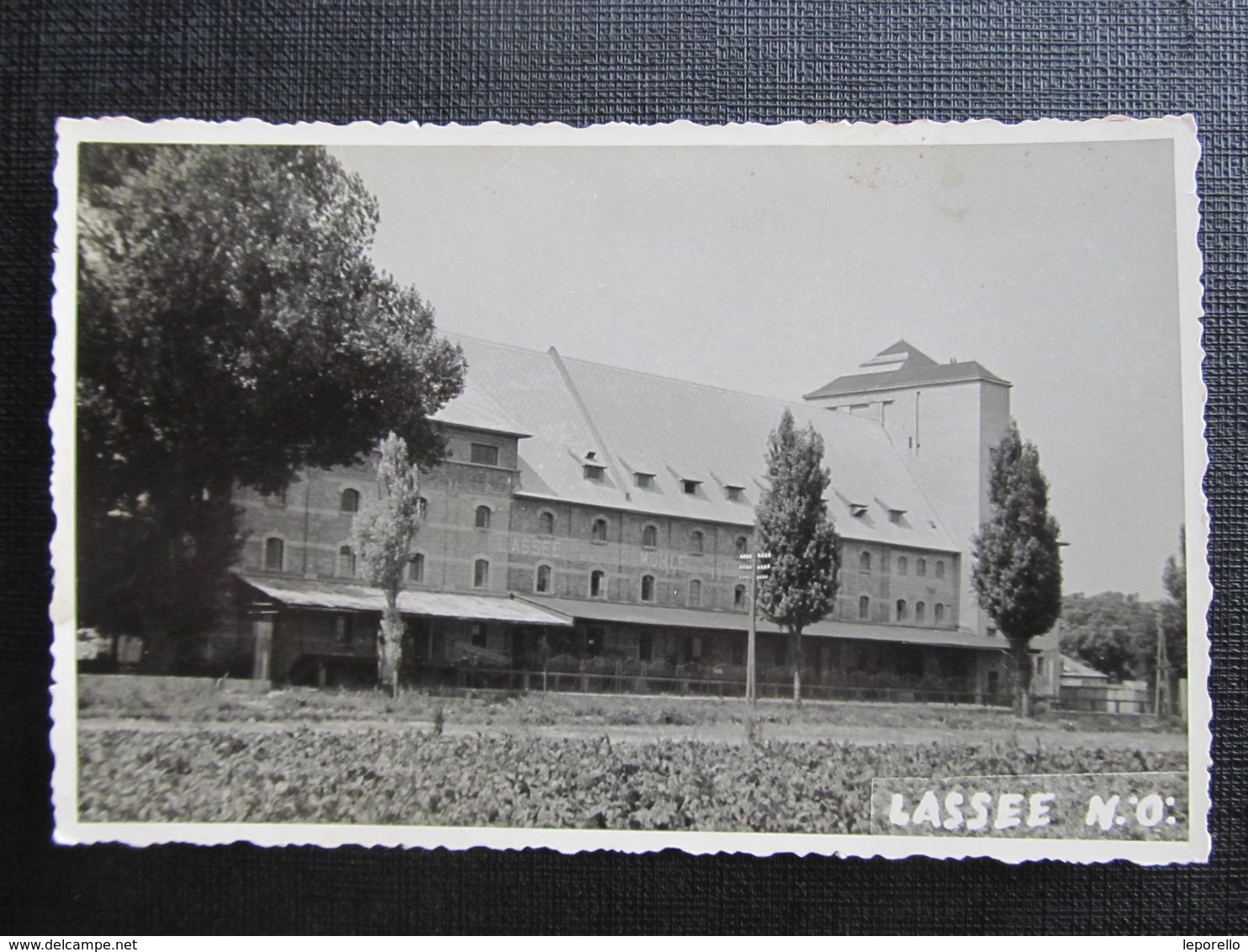 AK LASSEE B. Gänserndorf 1955 Mühle Mill ////  D*34202 - Gänserndorf