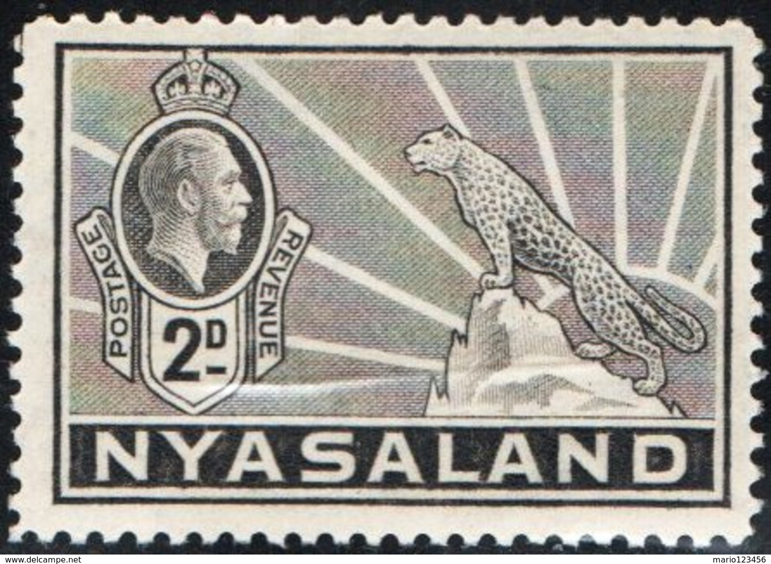 NYASALAND, PROTETTORATO BRITANNICO, BRITISH PROTECTORATE, RE GIORGIO V, FAUNA, LEOPARDO, 1934,  (MNH**) YT 46   Scott 41 - Nyassaland (1907-1953)