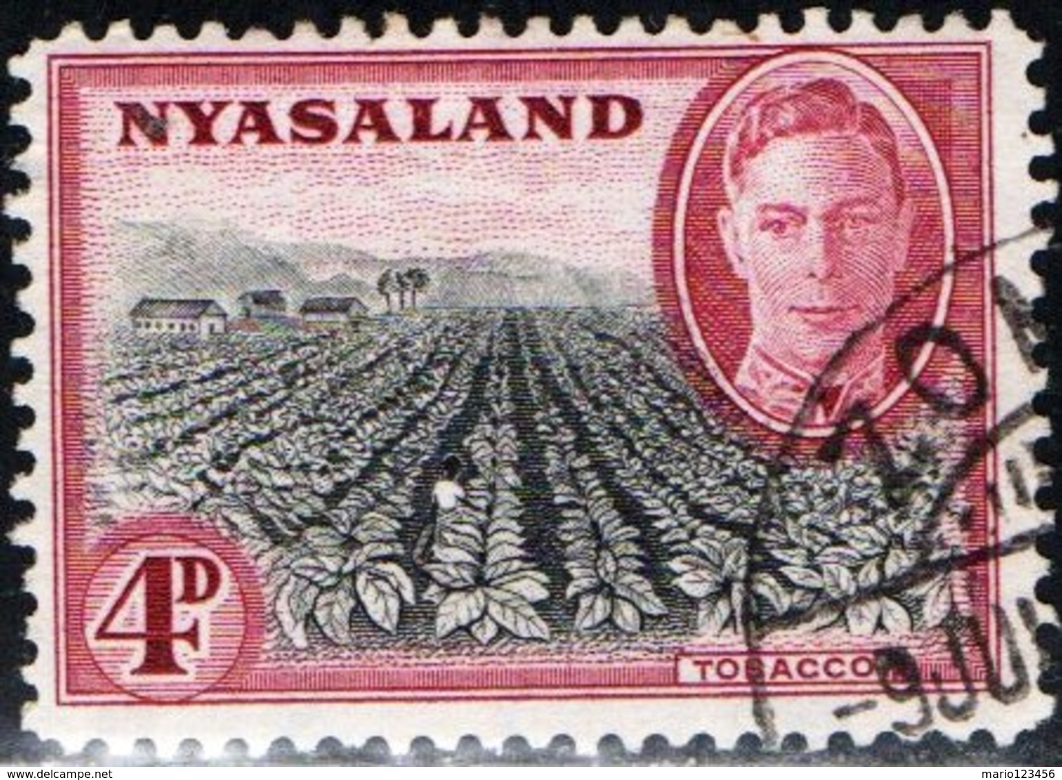 NYASALAND, PROTETTORATO BRITANNICO, BRITISH PROTECTORATE, RE GIORGIO VI, AGRICOLTURA, TABACCO, 1945 USATO YT 82 Scott73 - Nyassaland (1907-1953)