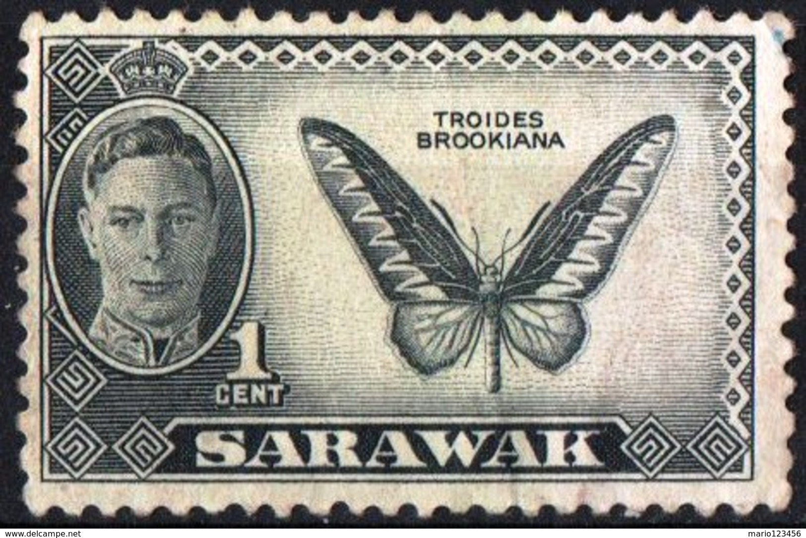 SARAWAK, COLONIA CORONA BRITANNICA, BRITISH CROWN COLONY, FAUNA, INSETTI, FARFALLE, 1950, NUOVO (MLH*) Scott 180 - Sarawak (...-1963)