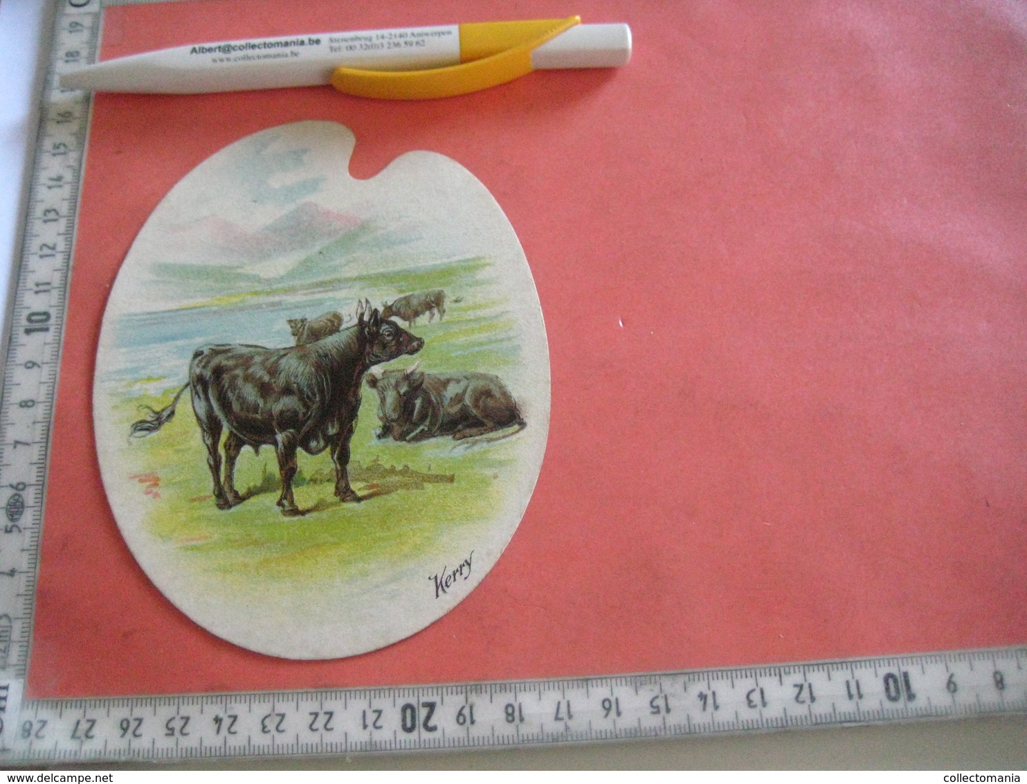 0689A  Liebig 689A 1 Trade Card -  RRR -  Types Of Cattle , KERRY Palette Shaped Cards LEMCO Litho Advertising Chromo - Liebig