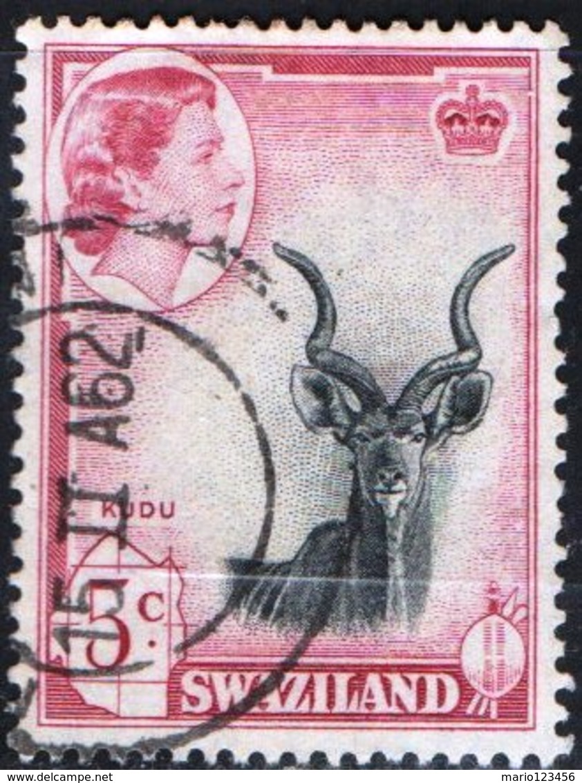 SWAZILAND, FAUNA , ANIMALI, REGINA ELISABETTA II, 1961, FRANCOBOLLI USATI YT 84    Scott 85 - Swasiland (...-1967)