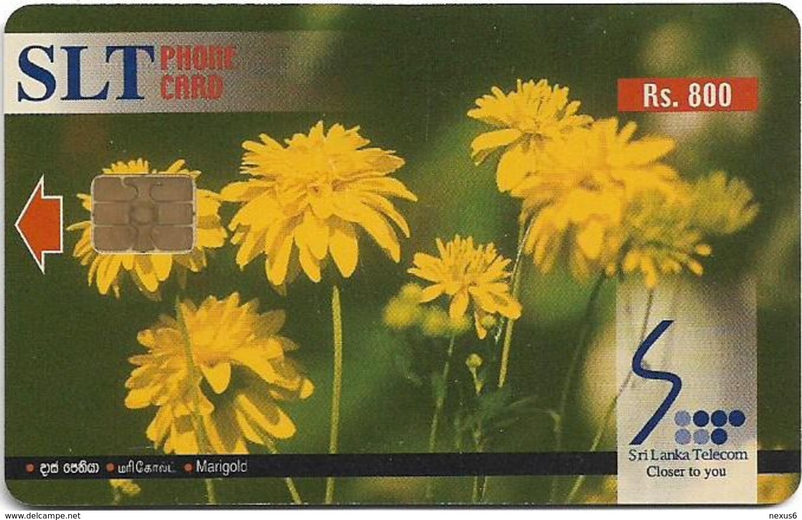 Sri Lanka - SLT - Marigold Flower - 800₨, No Serial - Sri Lanka (Ceylon)