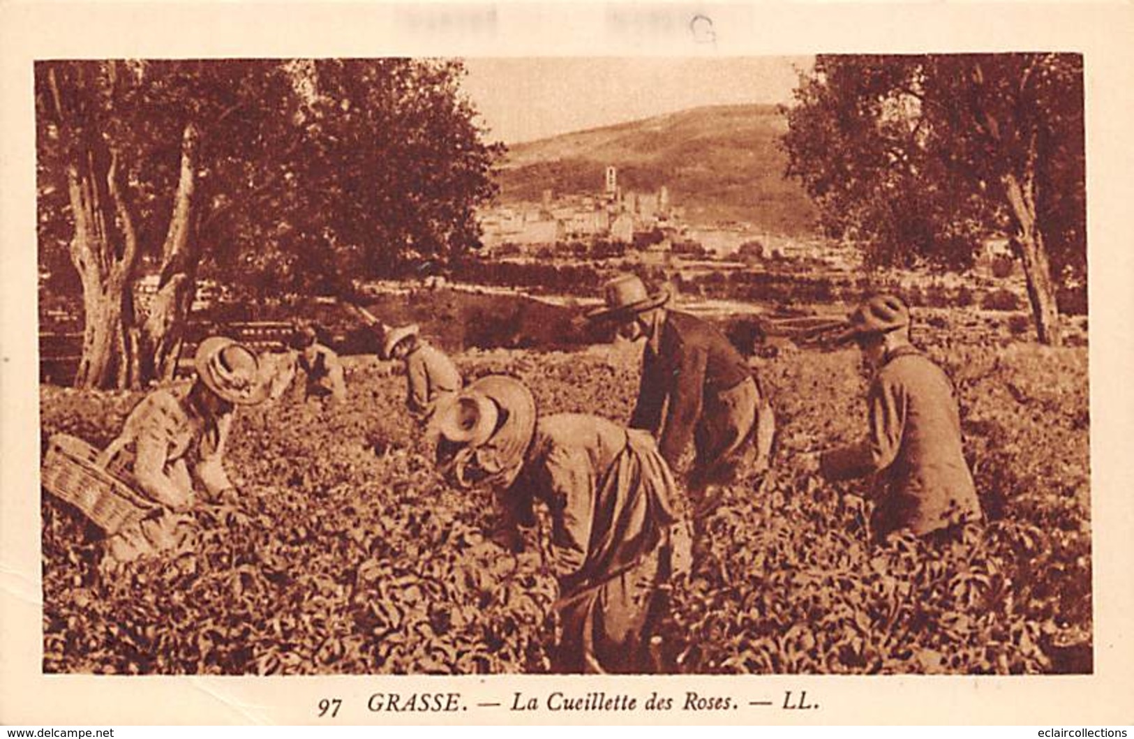 Grasse           06       La Cueillette Des Roses        (voir Scan) - Grasse