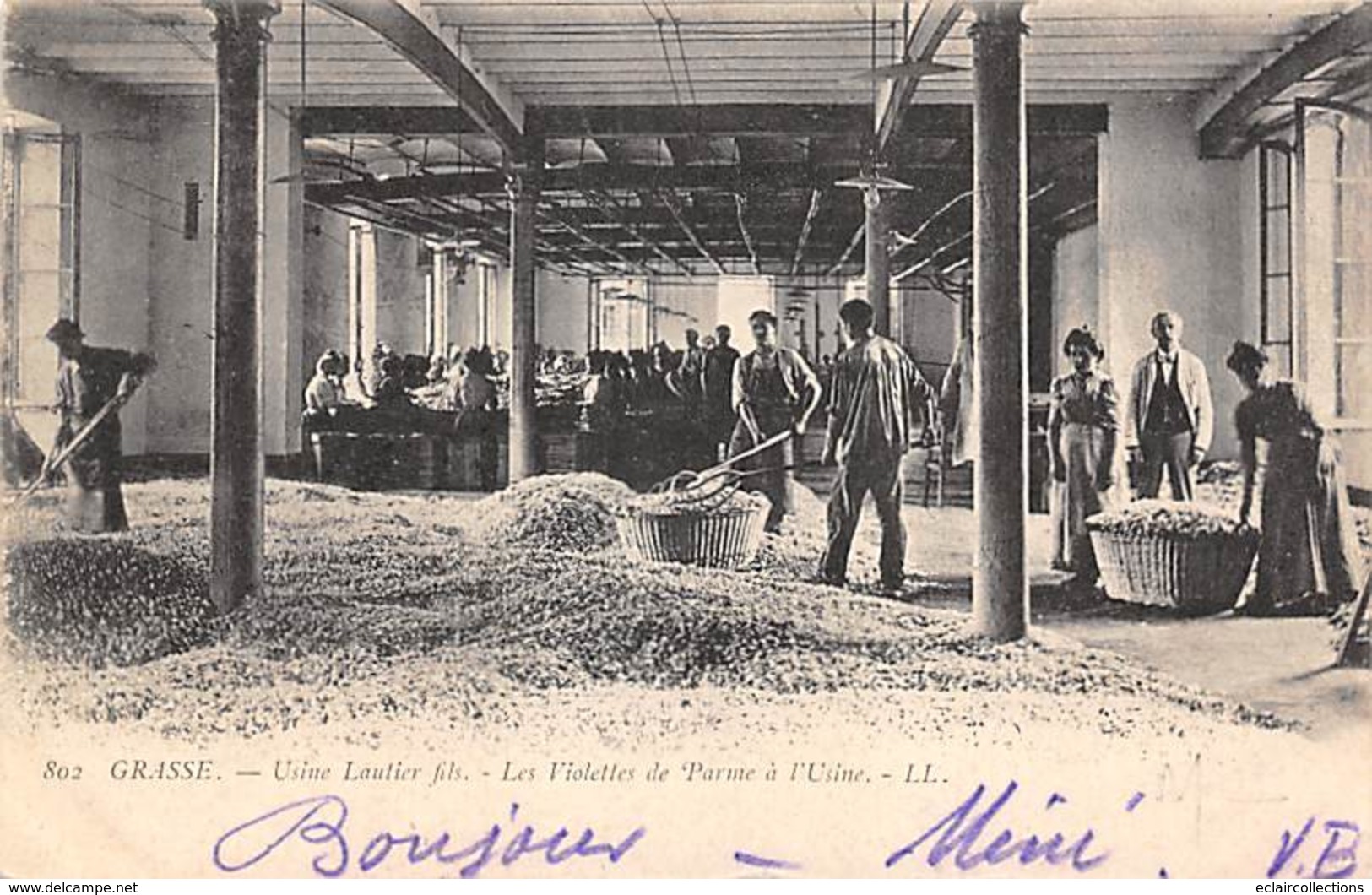 Grasse           06       Usine Lautier.  Violettes De Parme A L'Usine        (voir Scan) - Grasse