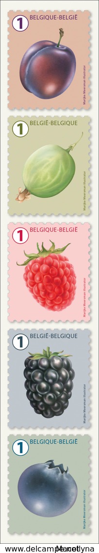 Belg. 2018   Doosje  met 100 Rolzegels met 10 X 10 Verschillend fruit**   Des Fruits en Boîte - België-Belg. 2018 Doos