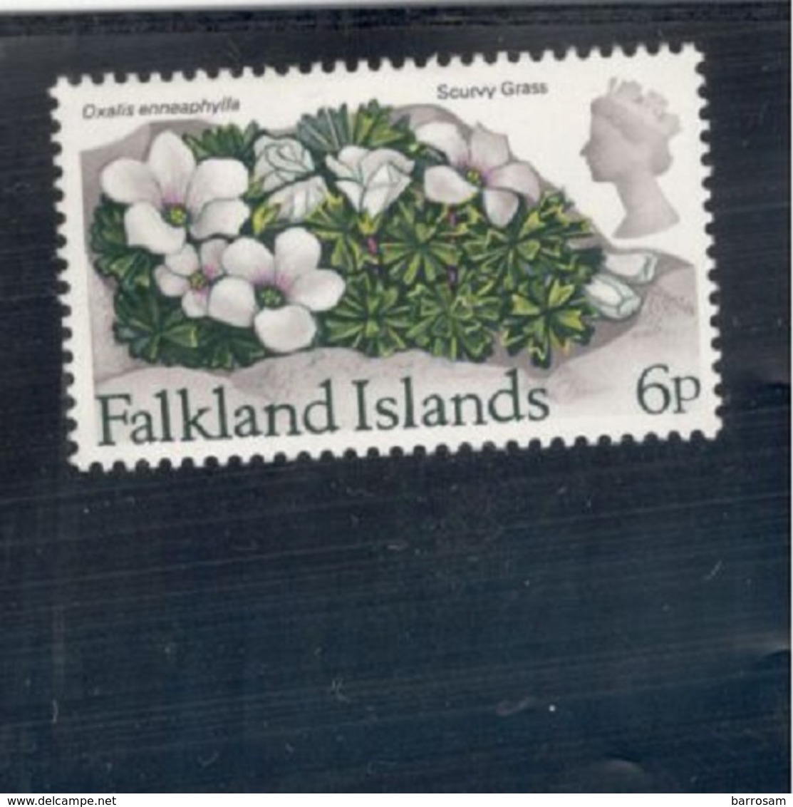 FALKLAND1974:Michel213x(Wm.sideways)mnh** - Falkland Islands
