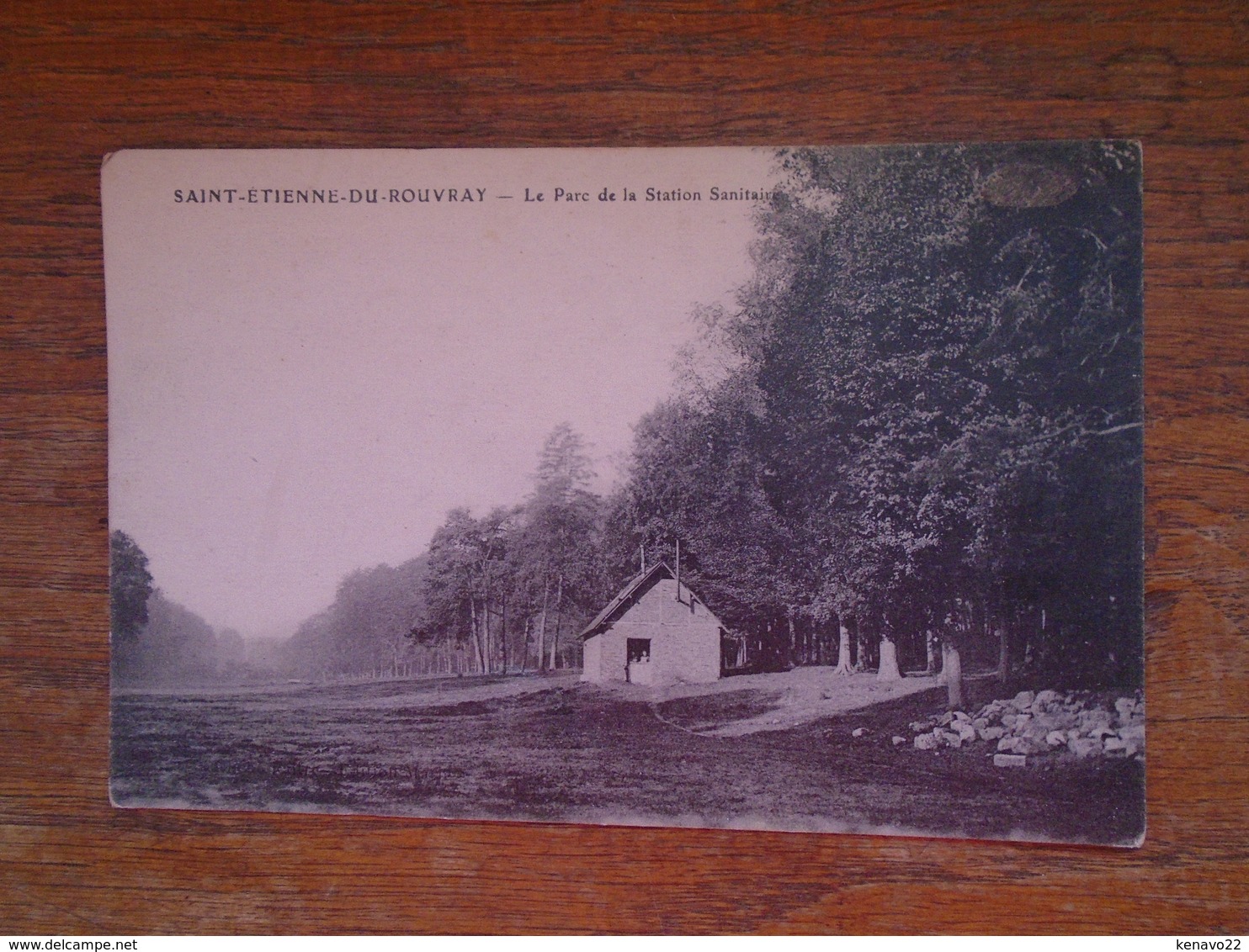 Saint-étienne-du-rouvray , Le Parc De La Station Sanitaire "" Carte Animée Personnage à L'entrée De La Maison " - Saint Etienne Du Rouvray