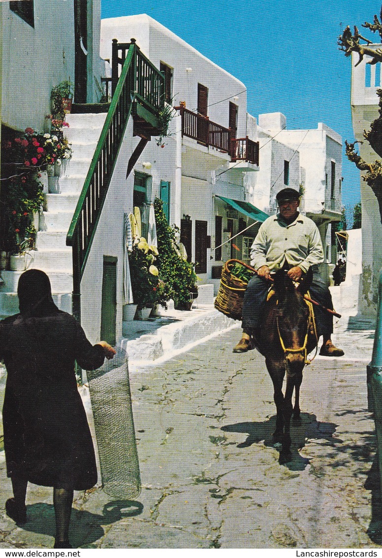 Postcard Crete Man On Donkey In Street 1988 Stamp My Ref  B23078 - Greece