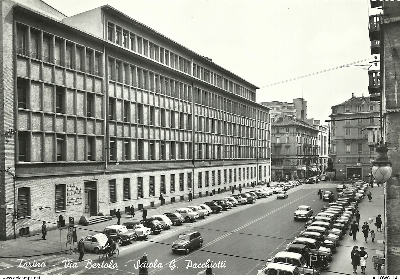 1146 " TORINO - VIA BERTOLA - SCUOLA G. PACCHIOTTI "  CARTOLINA POSTALE ORIG.  NON SPEDITA - Unterricht, Schulen Und Universitäten