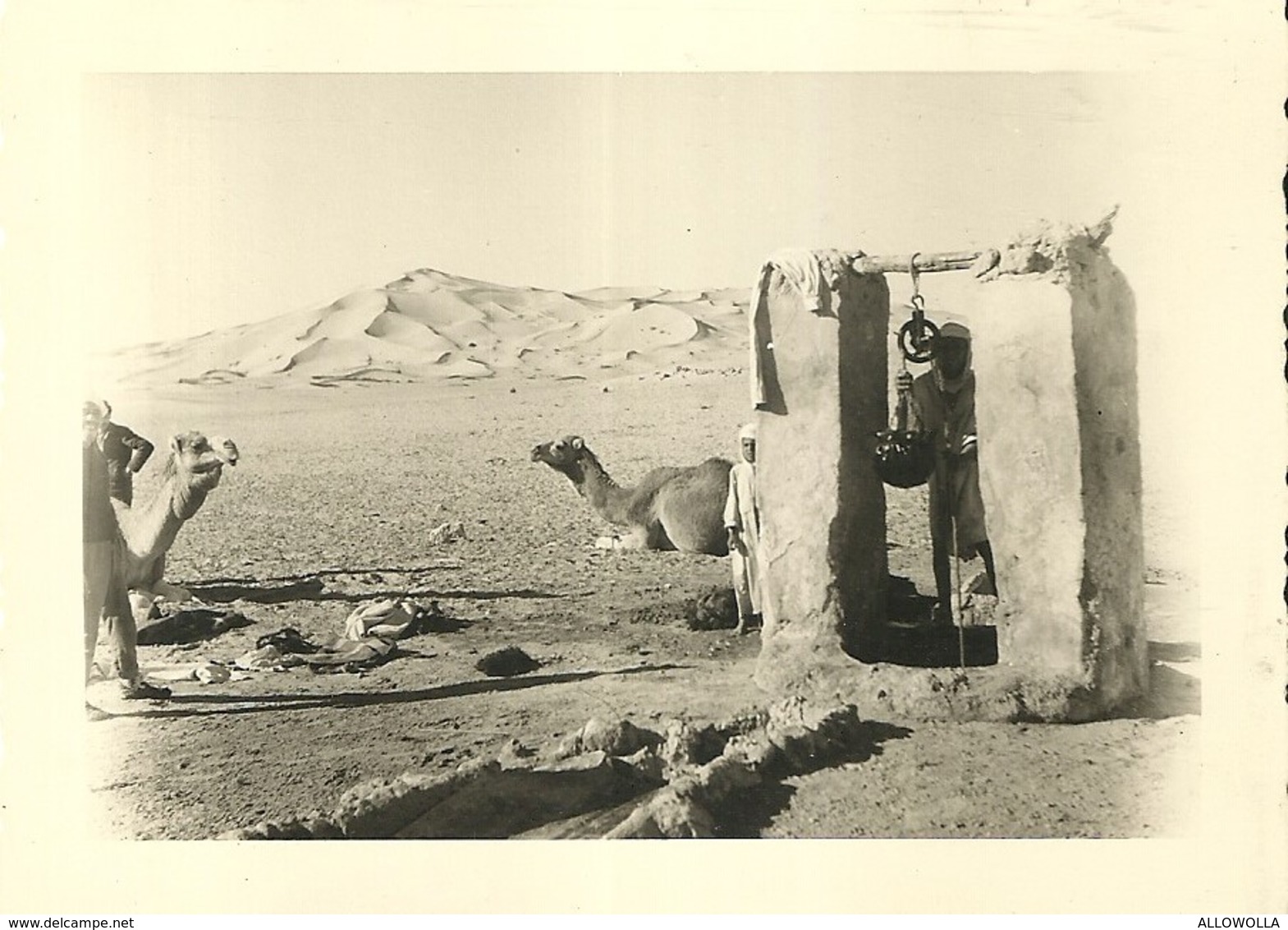 1151 "BEDUINI CON CAMMELLI AL POZZO DELL'ACQUA "  FOTO ORIG. - Africa