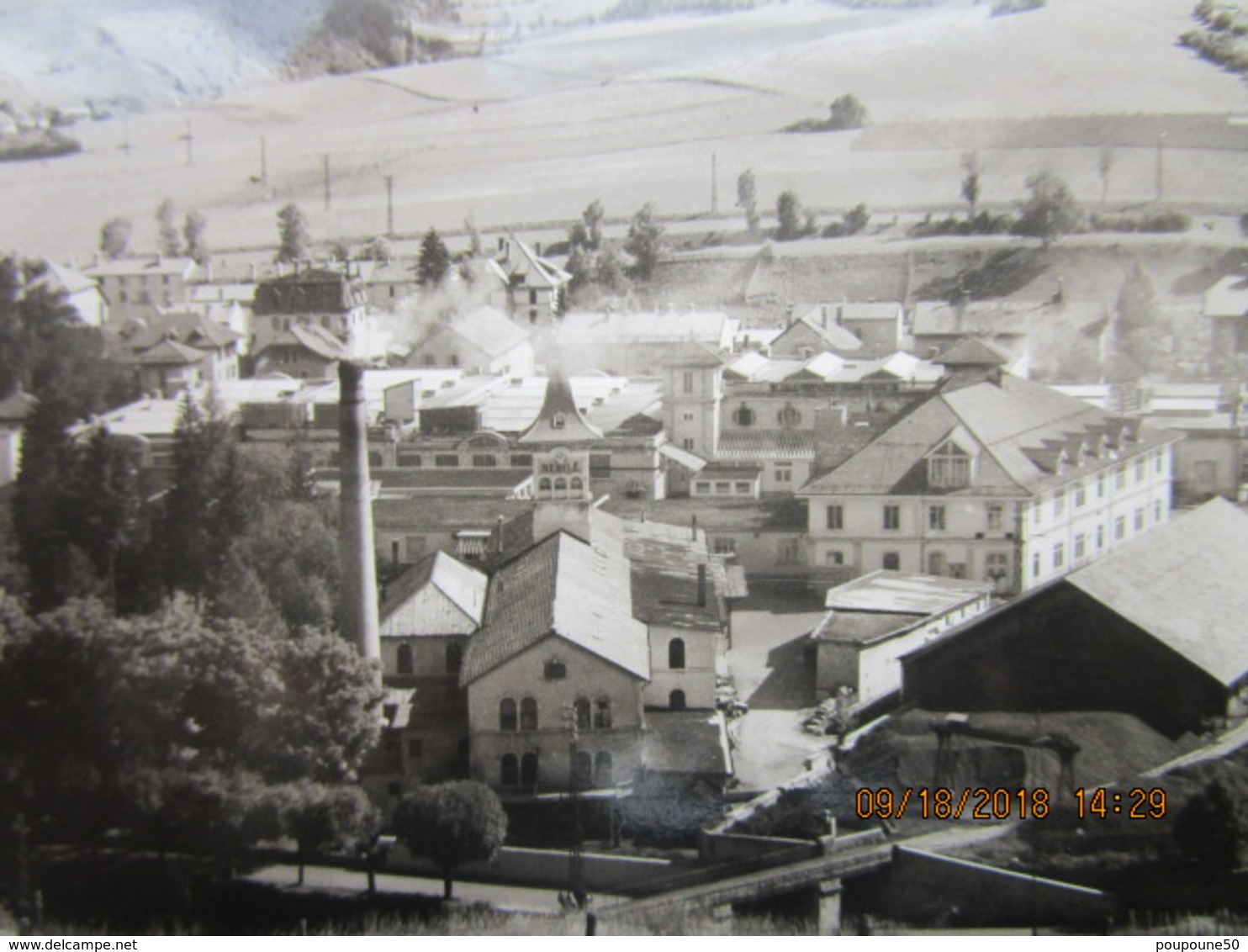 CP 25 PONTARLIER - Panorama La Chocotaterie Usine  Nestlé Kohler - Les Vaches Au Paturage - Pontarlier