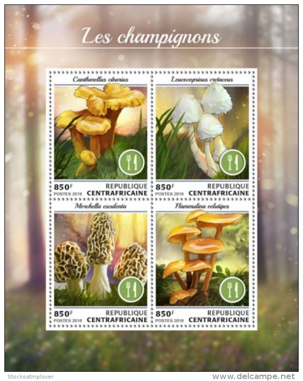 Central Africa 2018 Mushrooms  S201808 - Centrafricaine (République)