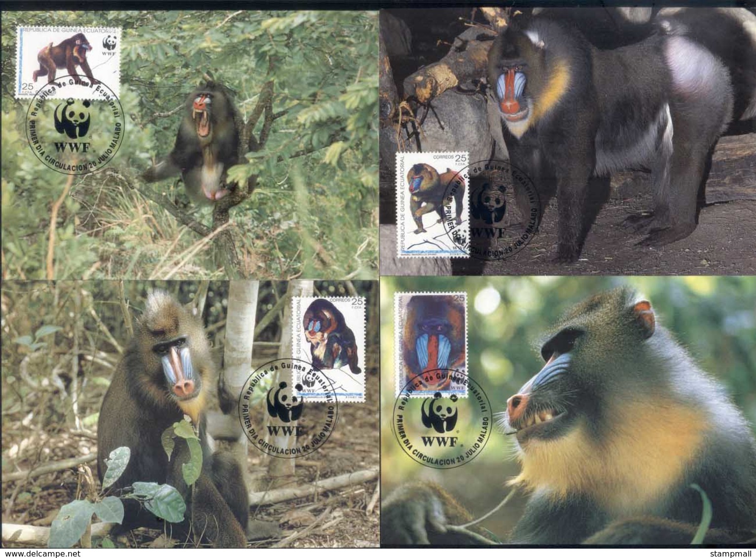 Equatorial Guinea 1991 WWF Mandrill Maxicard - Guinea Equatoriale