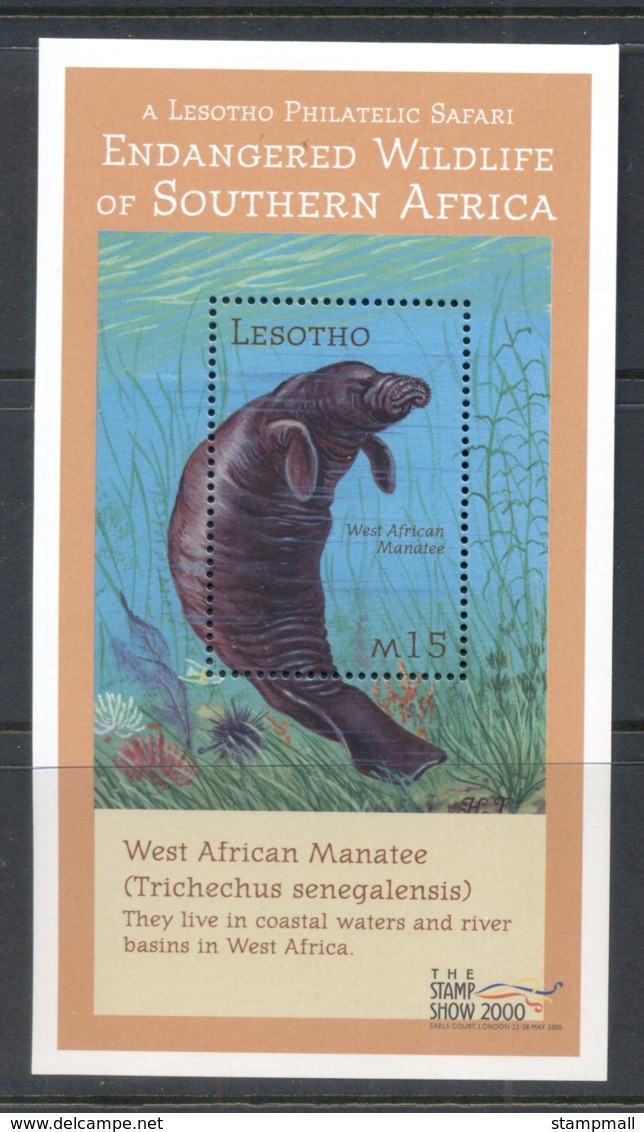 Lesotho 2000 Endangered Wildlife, Manatee MS MUH - Lesotho (1966-...)