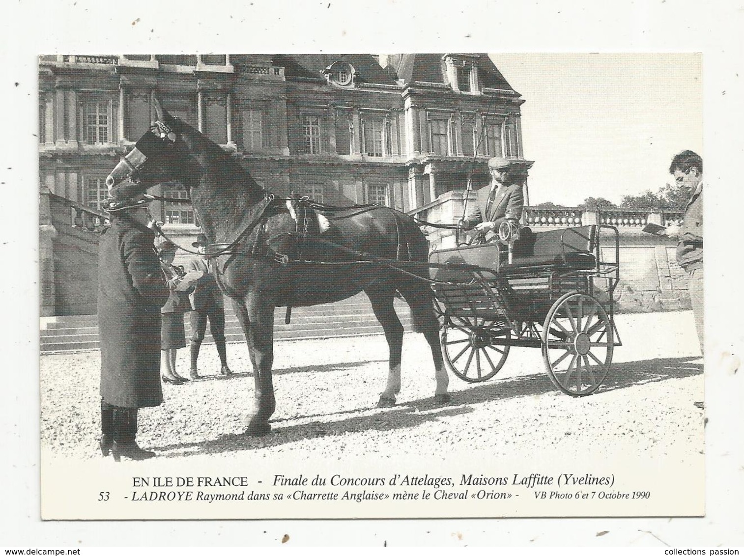 Cp , Sports , équitation , Finale Du Concours D'attelages , Maisons Laffitte , R. Ladroye , Cheval : Orio ,1990n - Hippisme