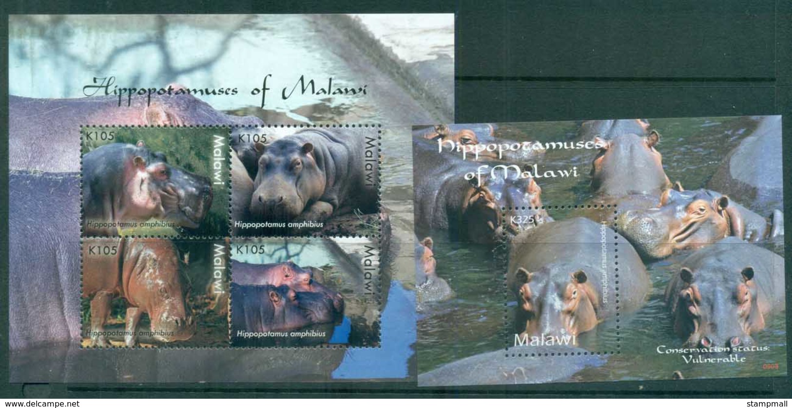 Malawi 2009 Wildlife Hippos Of Malawi 2x MS MUH - Malawi (1964-...)