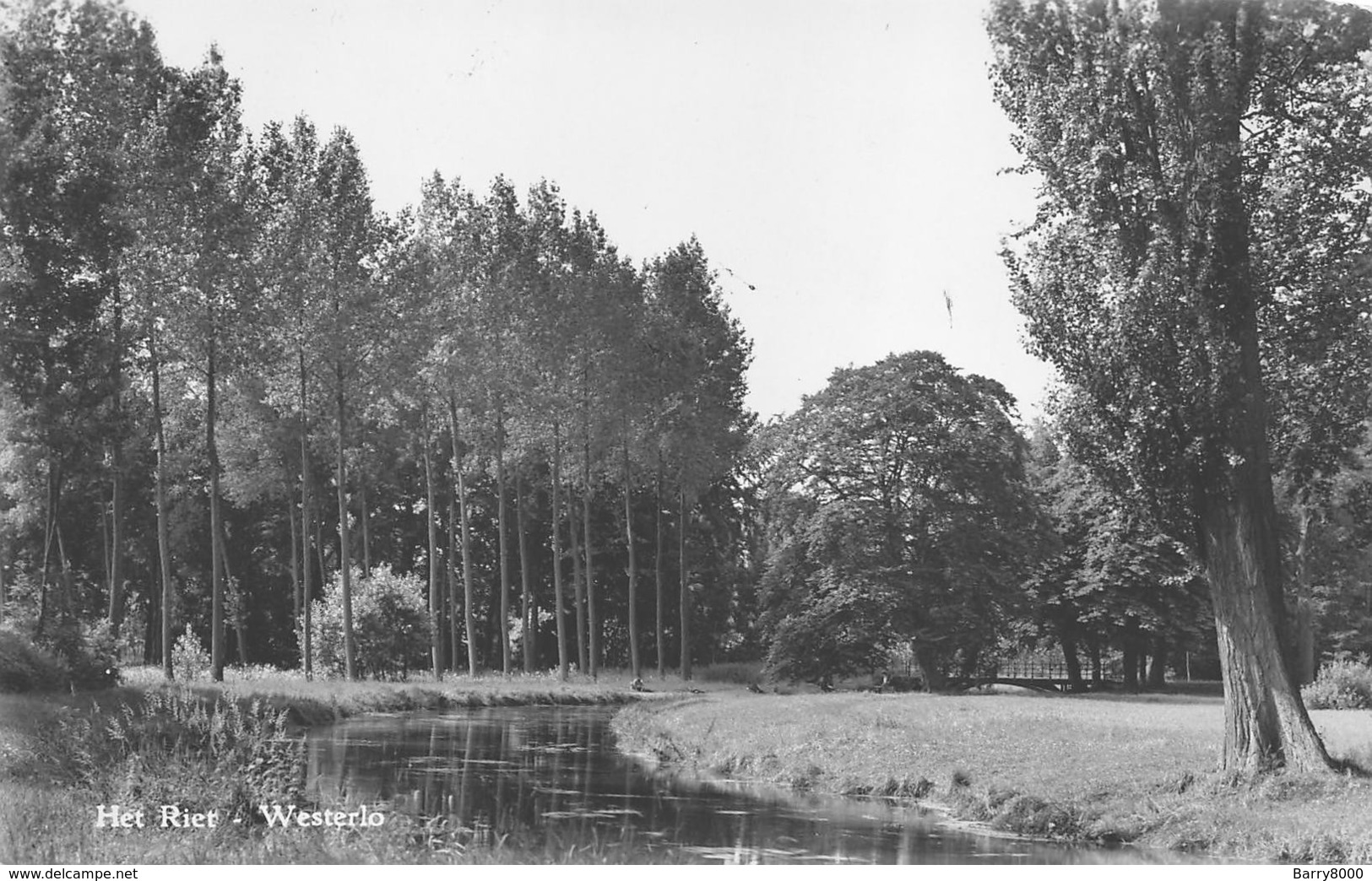 Het Riet   Westerlo   X 3940 - Westerlo