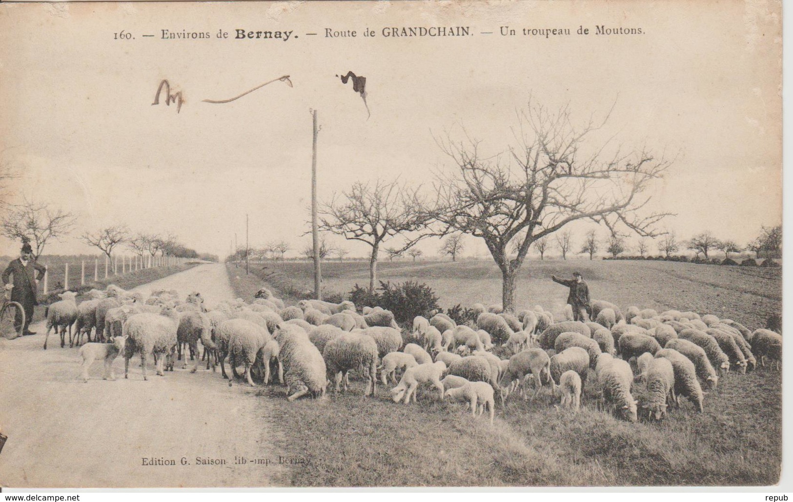 Bernay Route De Grandchain Troupeau De Moutons - Bernay