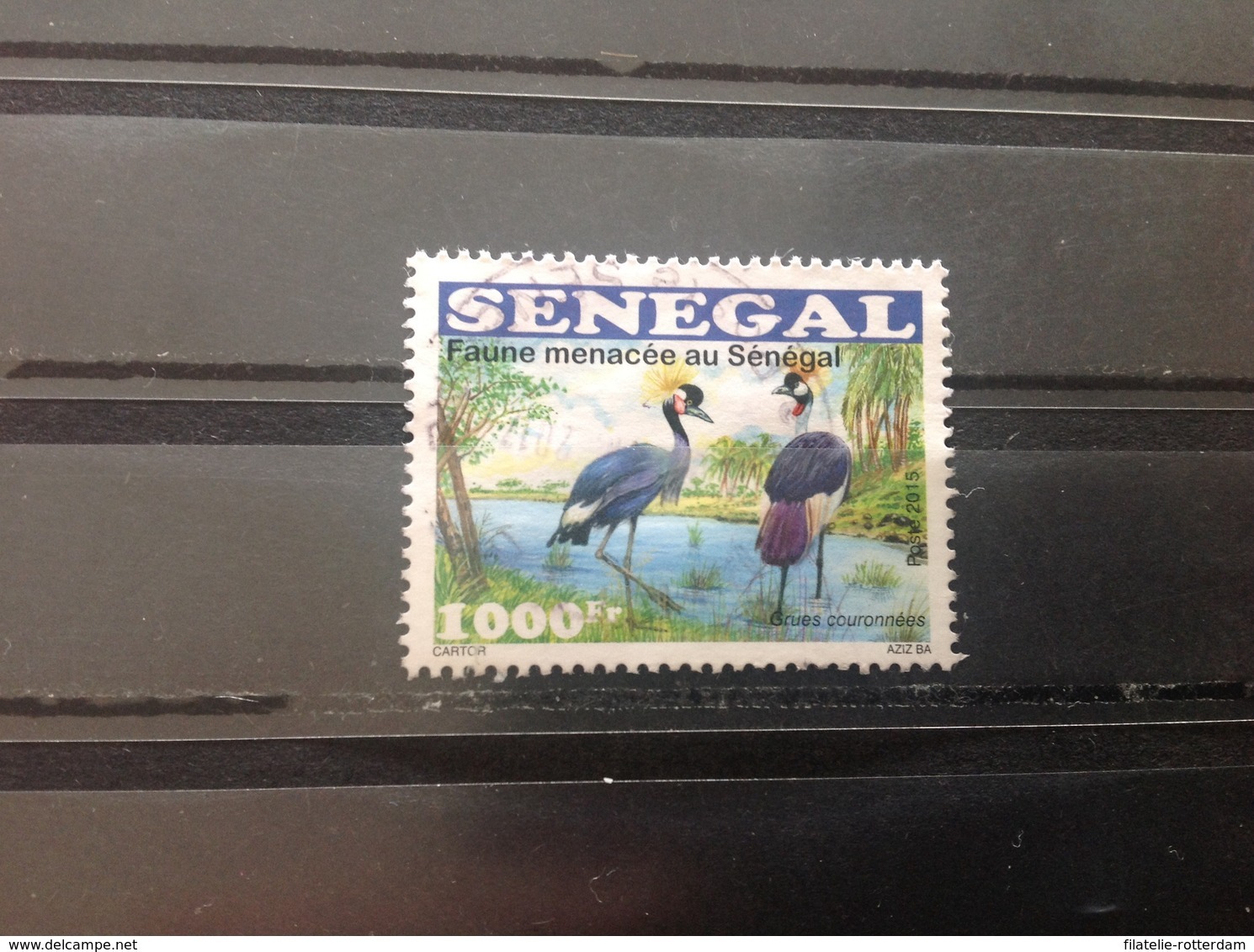 Senegal - Watervogels (1000) 2015 High Value! - Senegal (1960-...)