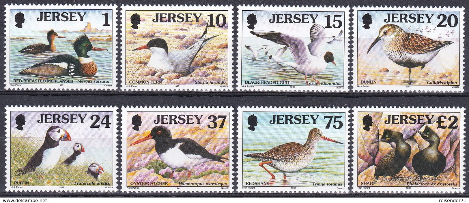 Jersey 1997 Tiere Fauna Animals Vögel Birds Oiseaux Aves Uccelli Seevögel Seabirds Watvögel Waders, Mi. 765-2 ** - Jersey