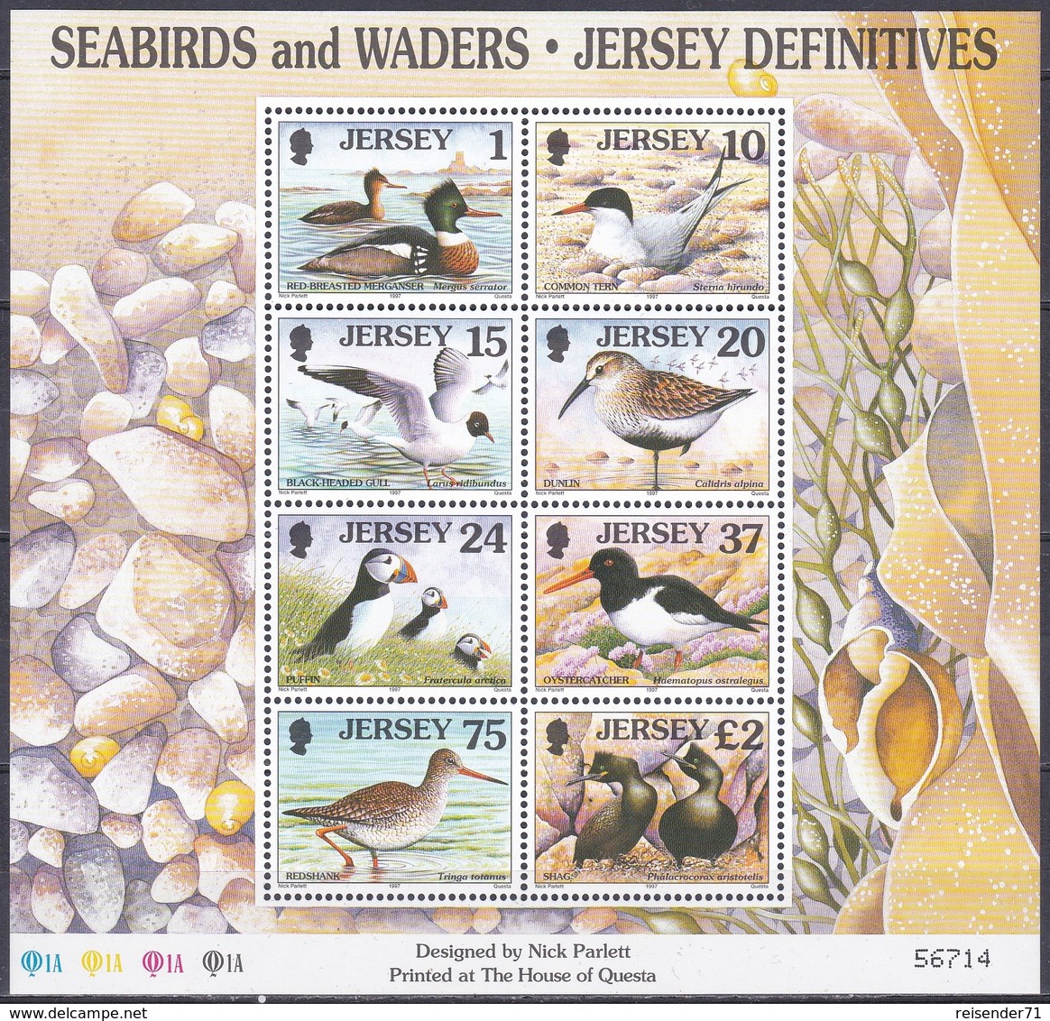 Jersey 1997 Tiere Fauna Animals Vögel Birds Oiseaux Aves Uccelli Seevögel Seabirds Watvögel Waders, Bl. 15 ** - Jersey