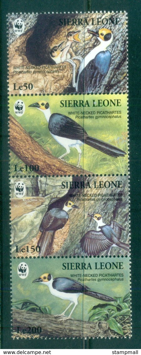 Sierra Leone 1994 WWF Birds, White-necked Picathartes MUH - Sierra Leone (1961-...)