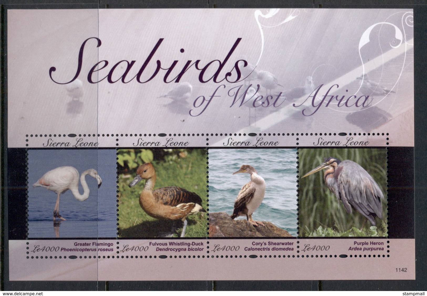 Sierra Leone 2011 Seabirds Of West Africa MS MUH - Sierra Leone (1961-...)