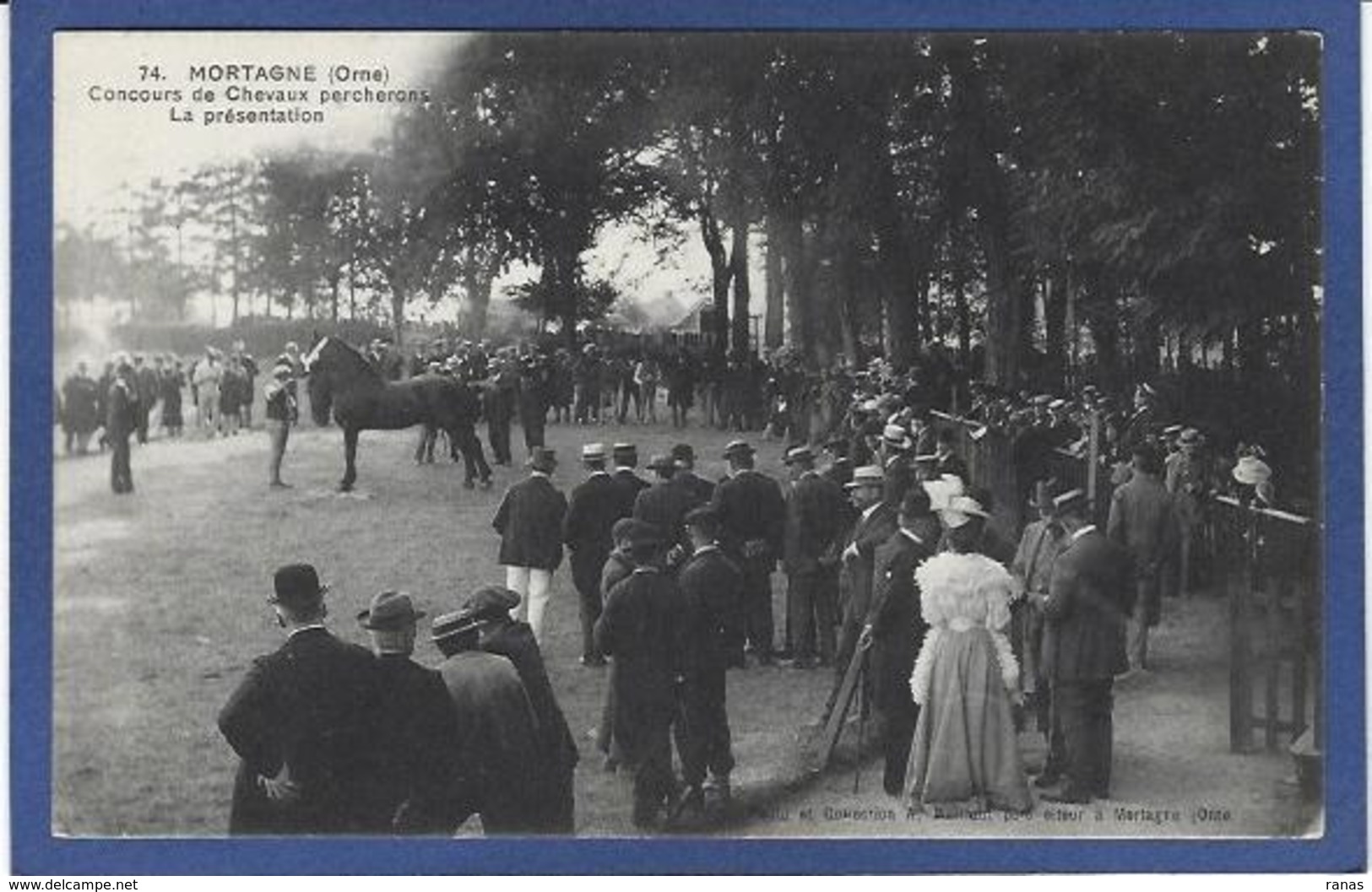 CPA Orne 61 Mortagne Concours De Chevaux Percheron Non Circulé - Mortagne Au Perche