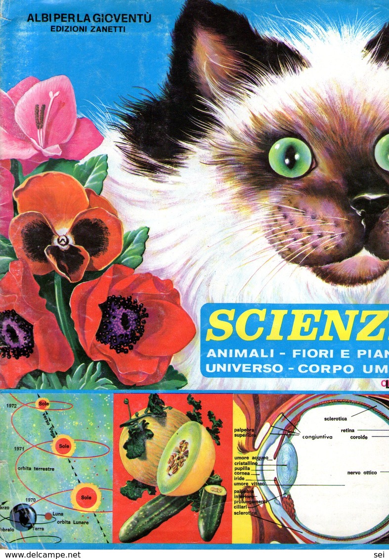 B 2144 - Album Figurine, Flora E Fauna, Scienze. CPL - 4 - Collezioni
