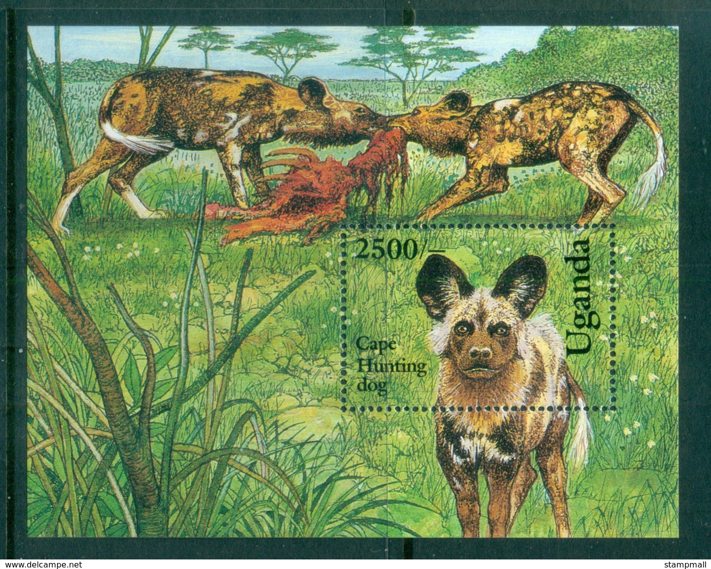Uganda 1993 Dogs, Cape Hunting Dogs MS MUH - Uganda (1962-...)