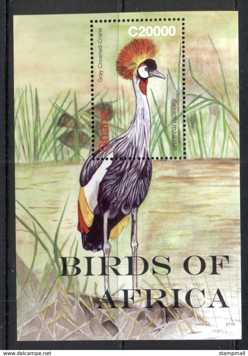 Ghana 2007 Birds Of Africa MS MUH - Ghana (1957-...)