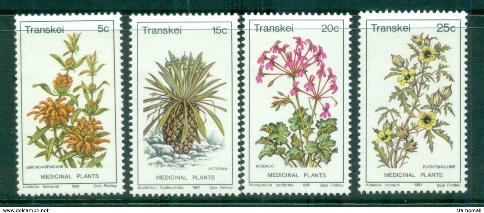 Transkei 1981 Medicinal Plants MUH - Transkei