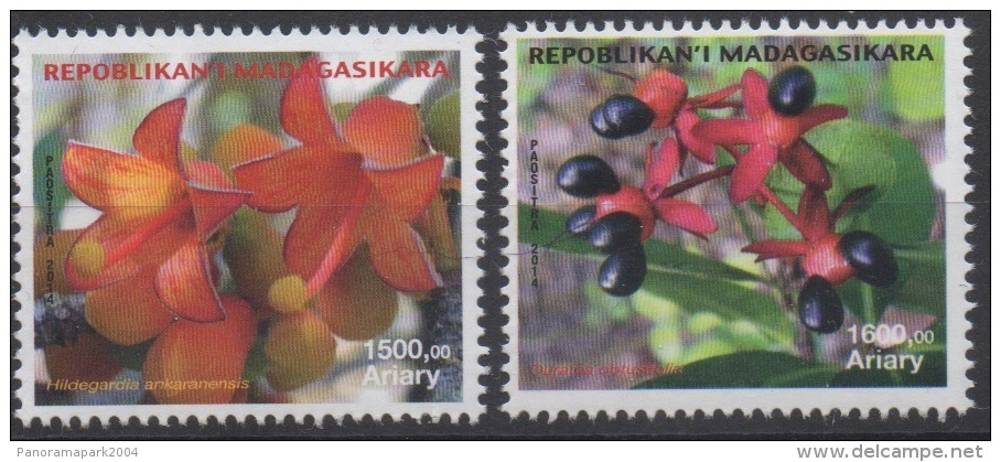 Madagascar Madagaskar 2014 / 2015 Mi. 2683/2684 Fleurs Flowers Blüten Hildegardia Ouratea Flore Flora MNH ** - Madagascar (1960-...)