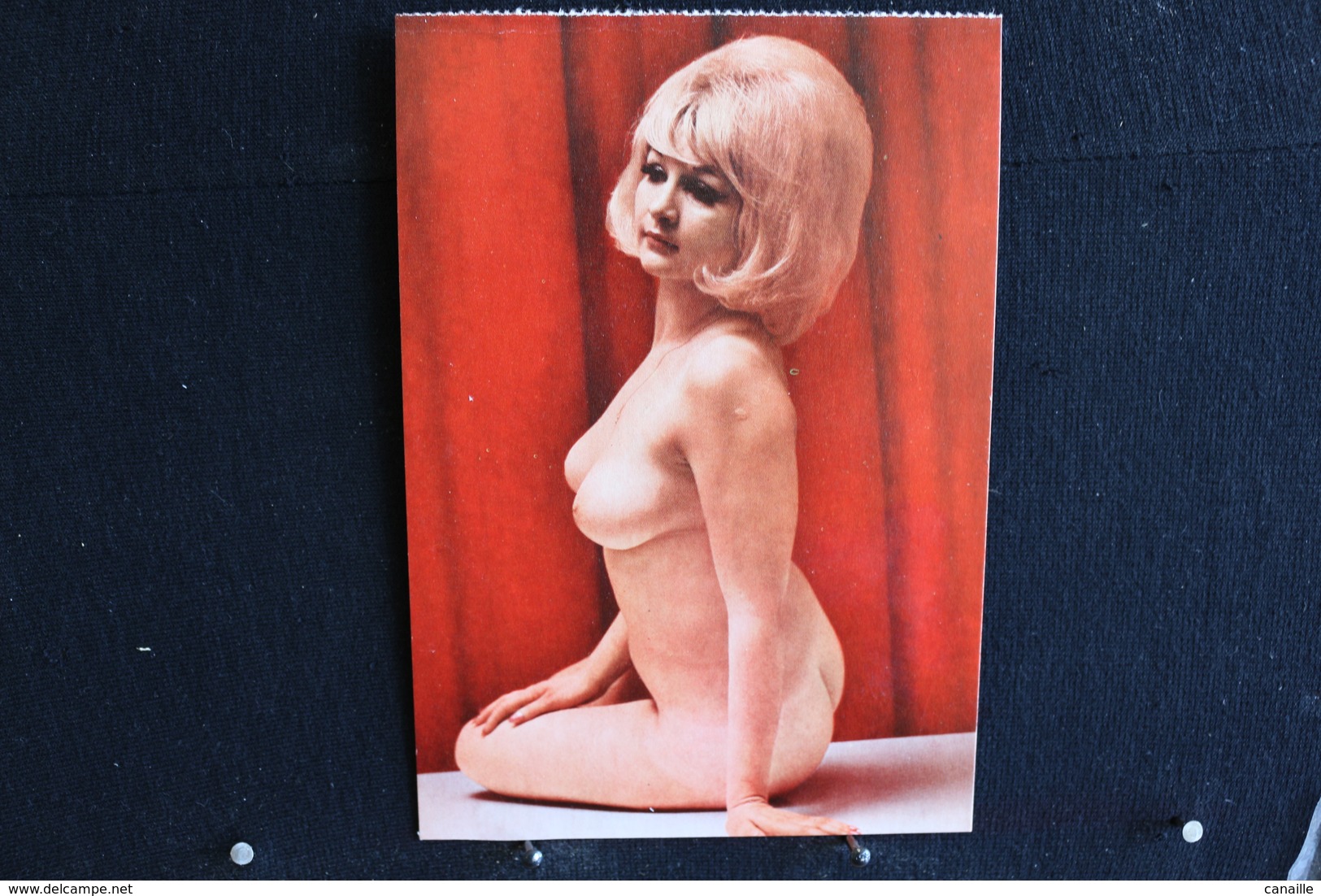 17 - P-up / Carte - Photo /  Pin-Up  -  BABY  -  Modèle  Nue,  Daily Girl Press  /  Circulé   .- - Pin-Ups