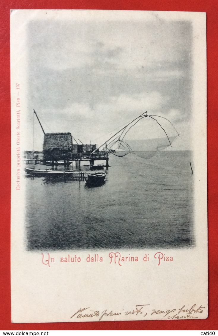 UN SALUTO DALLA MARINA DI PISA   Editore  ORESTE SCARLATTI  PISA DA RUOSINA A STAZZEMA  11/11/1900 - Pisa