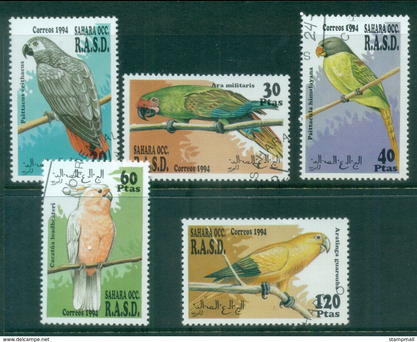 Sahara Occidental 1994 Birds, Parrots CTO - Otros - África