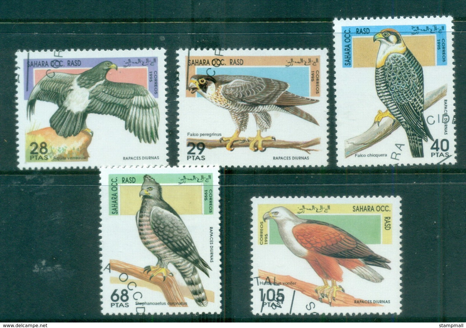 Sahara Occidental 1995 Birds Of Prey CTO - Africa (Other)