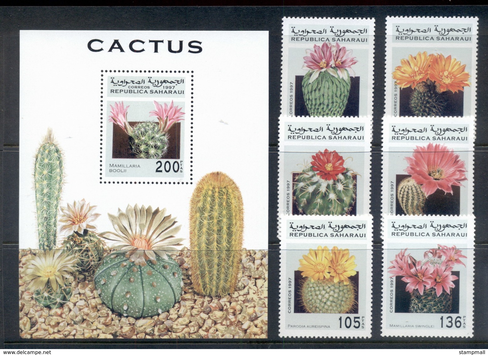 Sahara Occidental 1997 Cacti Flowers + MS MUH - Africa (Other)