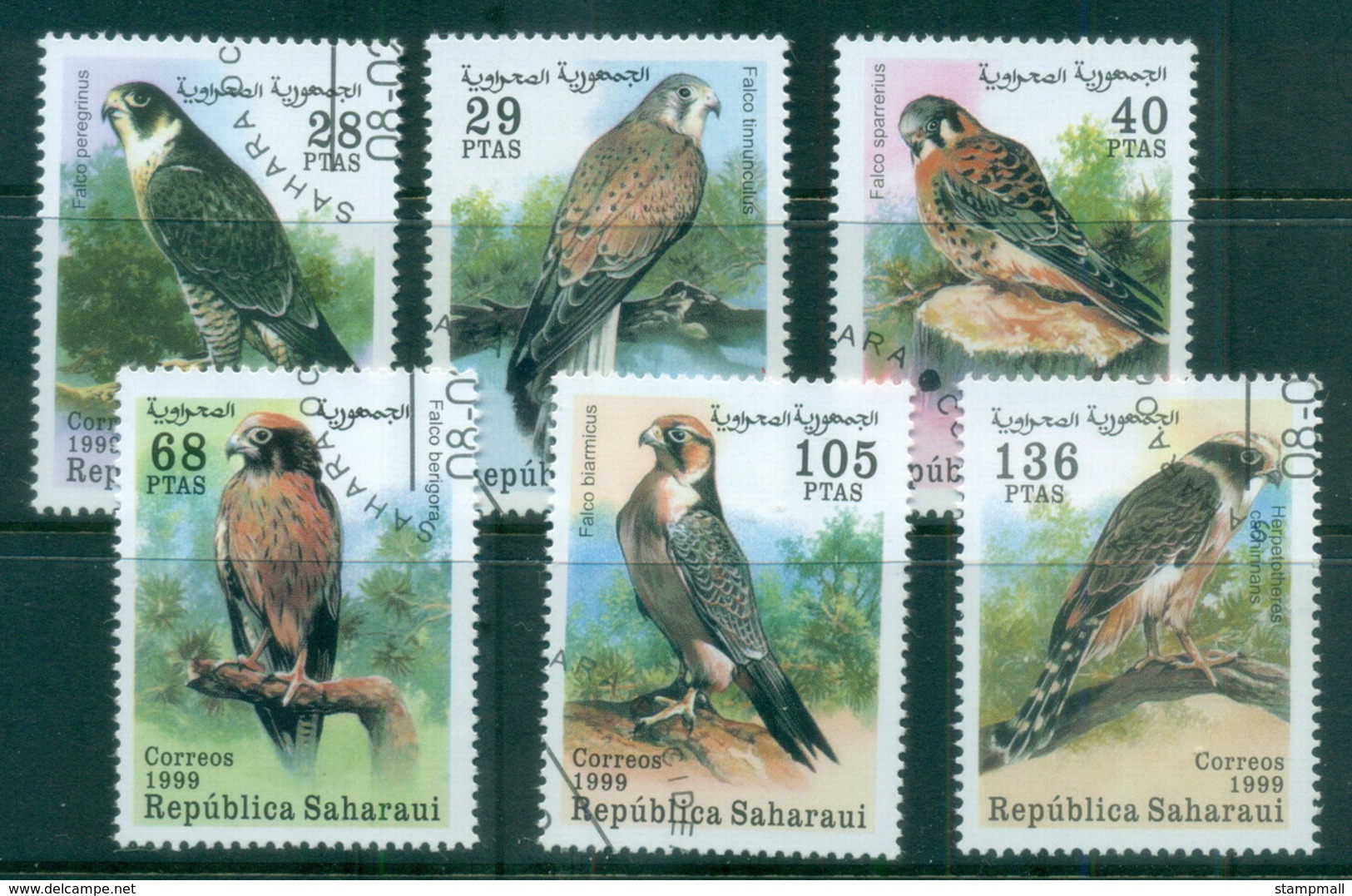 Sahara Occidental 1999 Birds Of Prey CTO - Africa (Other)