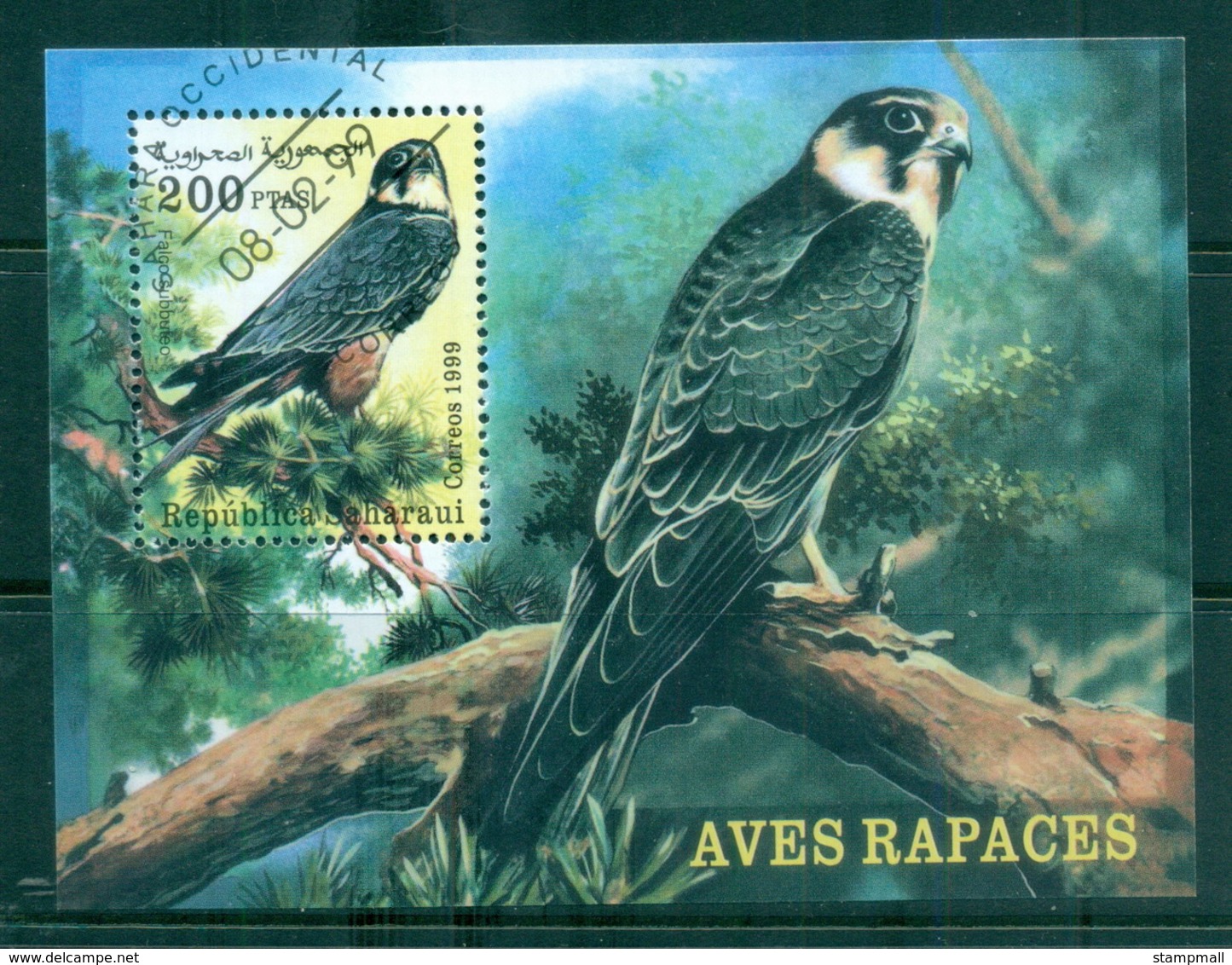 Sahara Occidental 1999 Birds Of Prey MS CTO - Africa (Other)