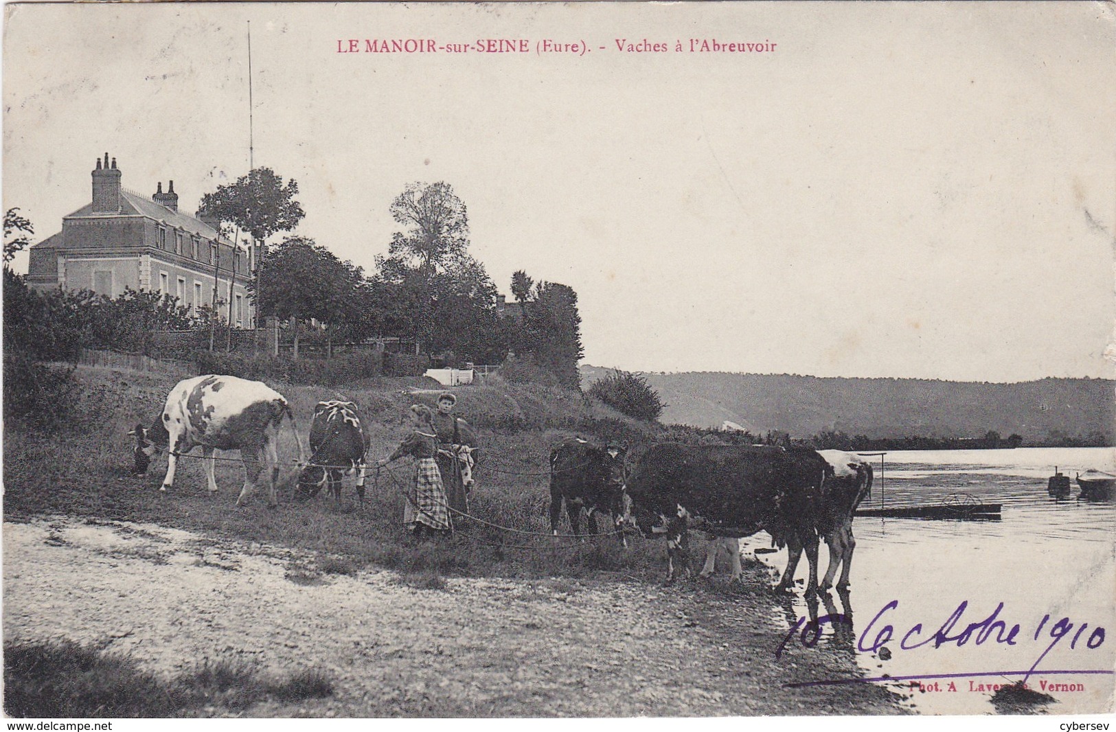 LE MANOIR-sur-SEINE - Vaches à L'Abreuvoir - Animé - Carte Peu Fréquente - Le Manoir